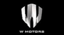 W Motors Cars