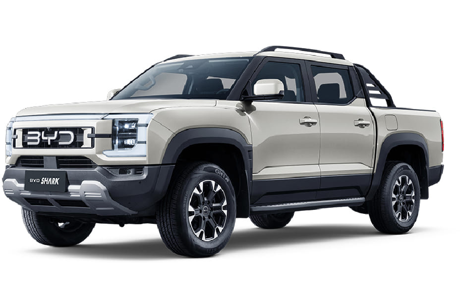 بي واي دي القرش 6 أوردو كريِم غراي غرين