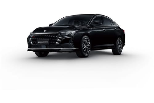 دونج فينج شاين ماكس أسود