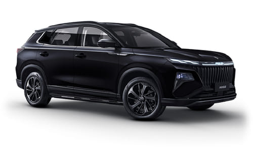 دونج فينج هيودج أسود