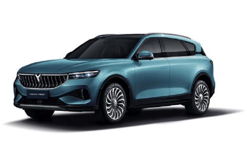 فوياه فري أزرق سماوي