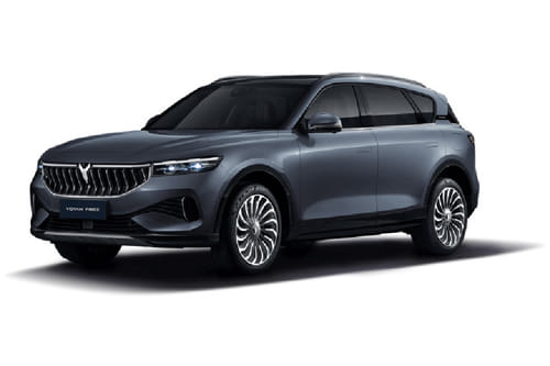 فوياه فري فضة