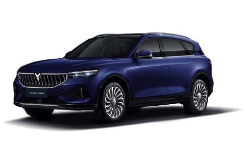 فوياه فري أزرق