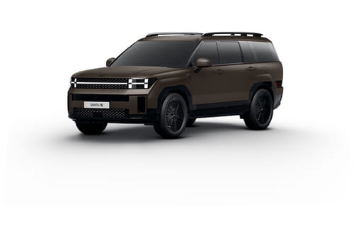 هيونداي سانتا في Earth Brown