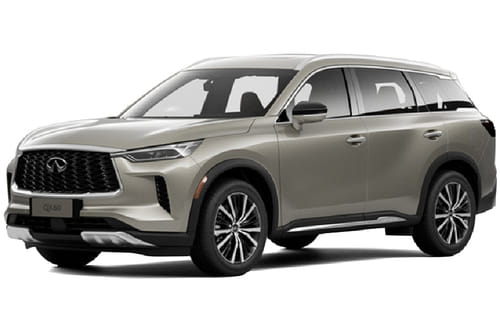 انفنتي كيو إكس 60 (2024–2025) وورم تيتانيوم