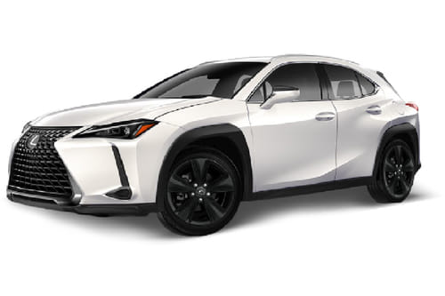 Lexus UX300H White
