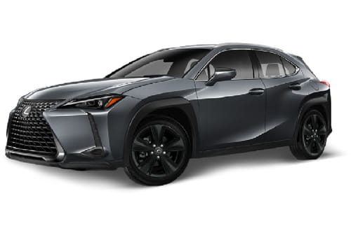 Lexus UX300H Gray