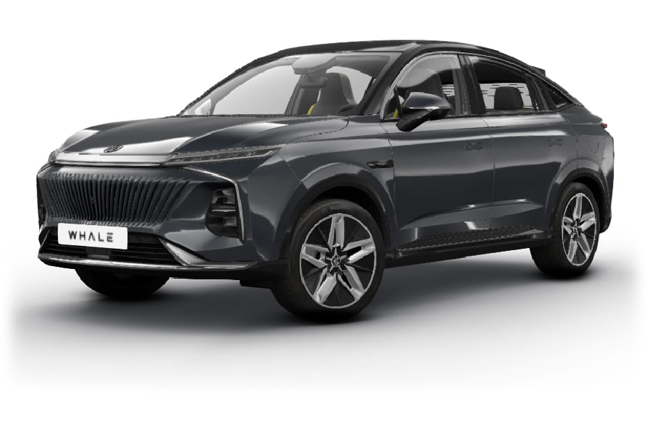 MG Whale Dark Gray