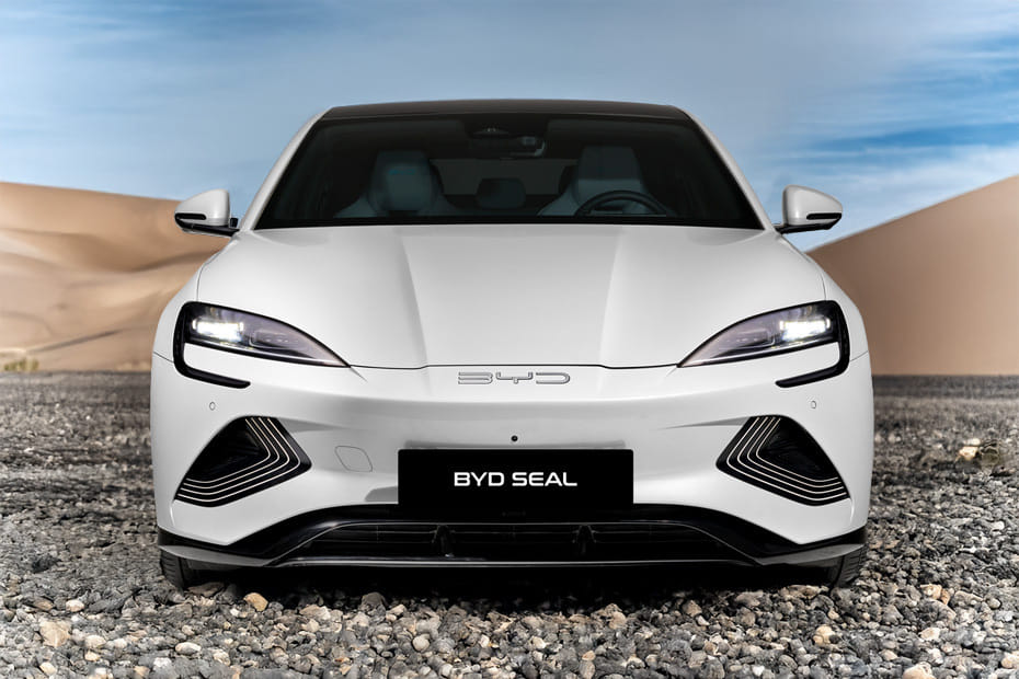 Full Front View of Seal