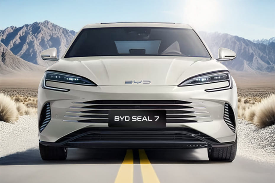 Full Front View of Seal 7