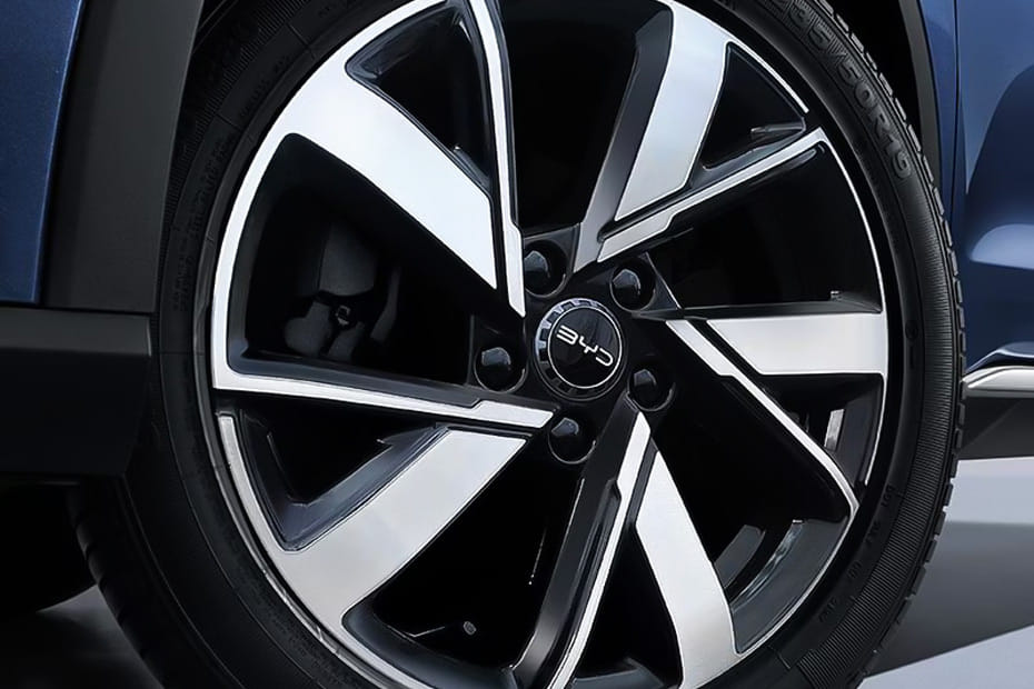 Sealion 5 Wheel