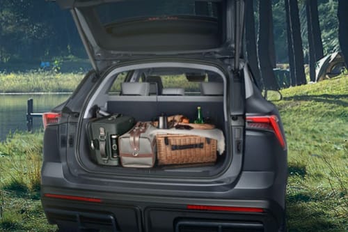 Trunk Open Closer View of داشينغ