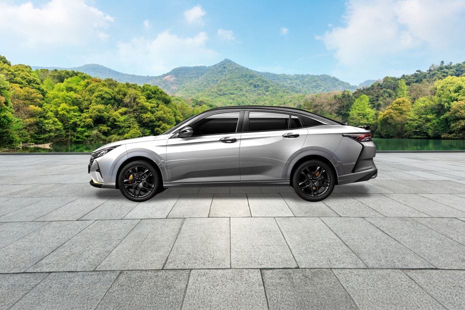 شاين Side view