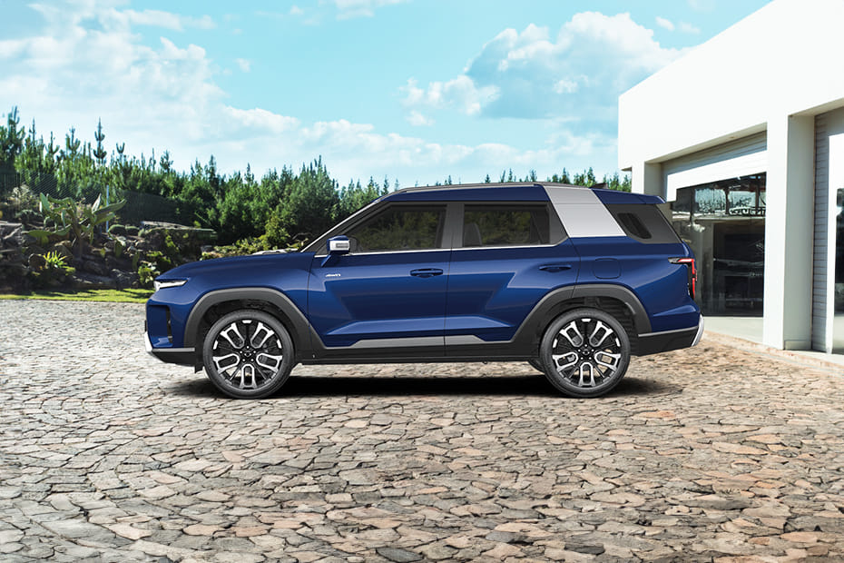 توريس Side view