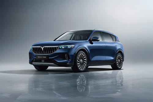 فوياه  فري Front angle low view