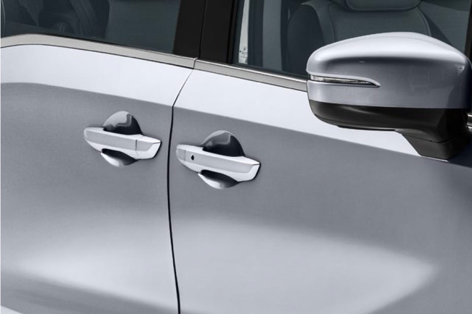 Odyssey Door handle