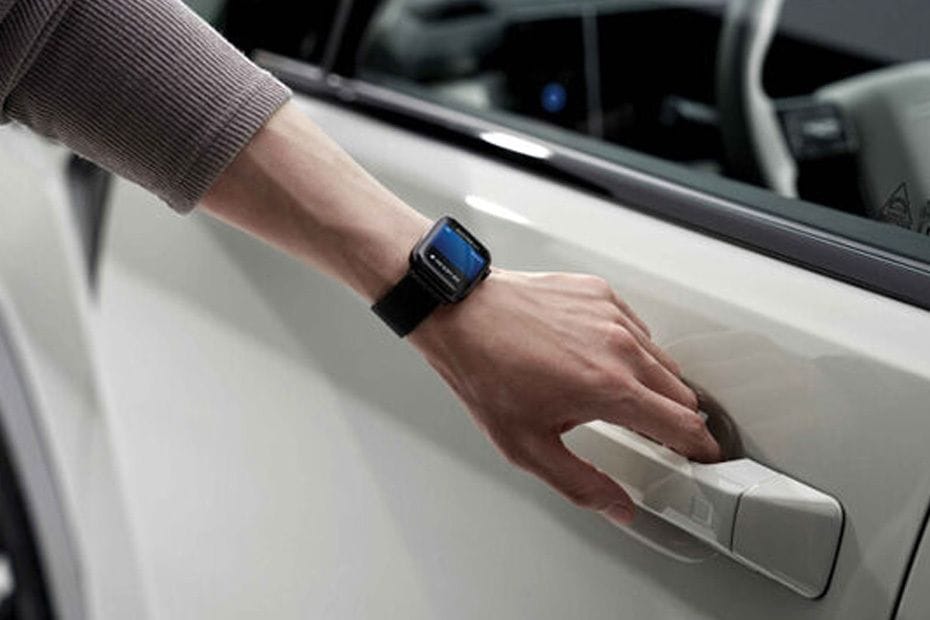 سانتا في Door handle