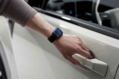 سانتا في Door handle