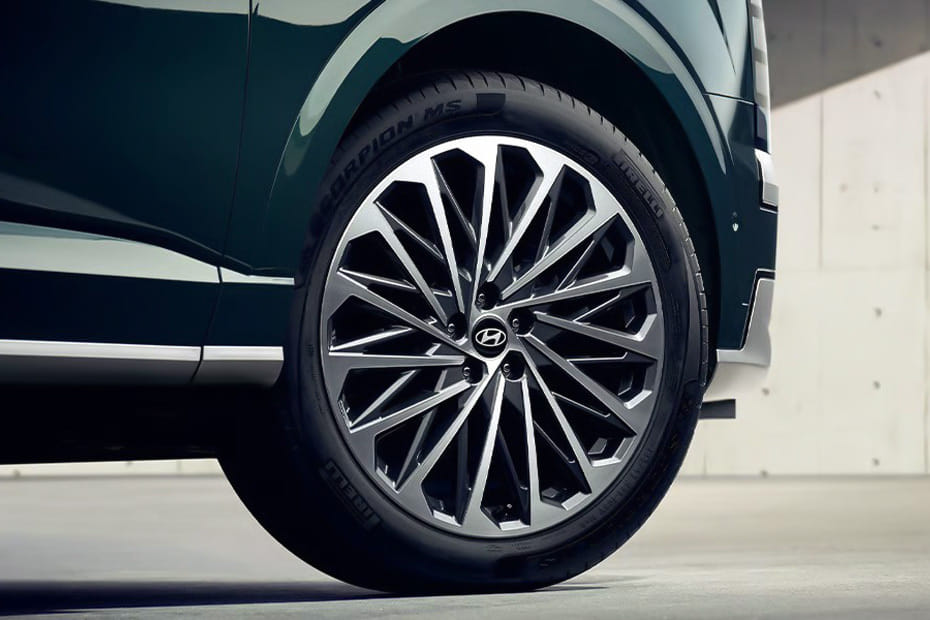 باليسايد Wheel