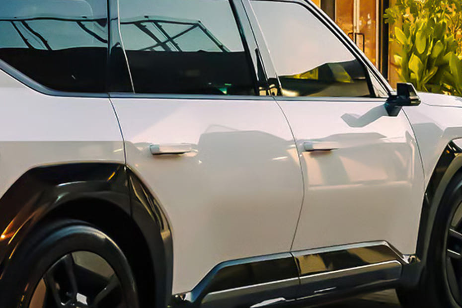EV9 Door handle