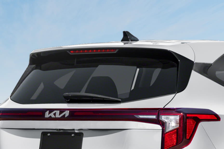 سيلتوس 2026 Spoiler