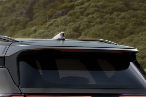 سيلتوس 2026 Spoiler