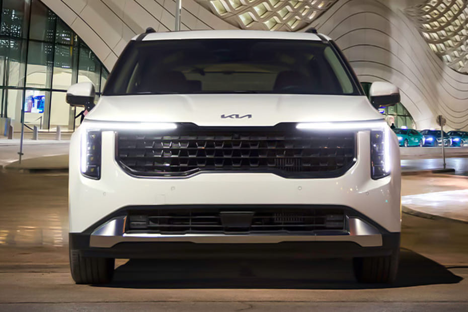 Full Front View of Carnival Hybrid