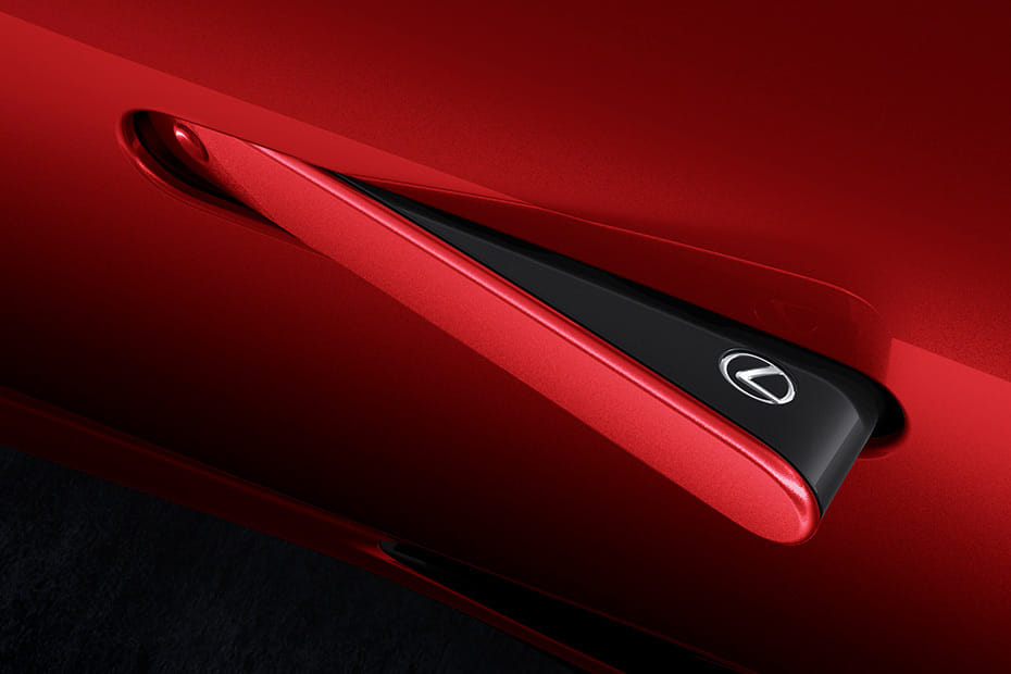 LC Door handle