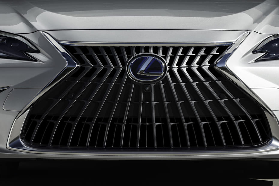 ES Grille View in Saudi Arabia