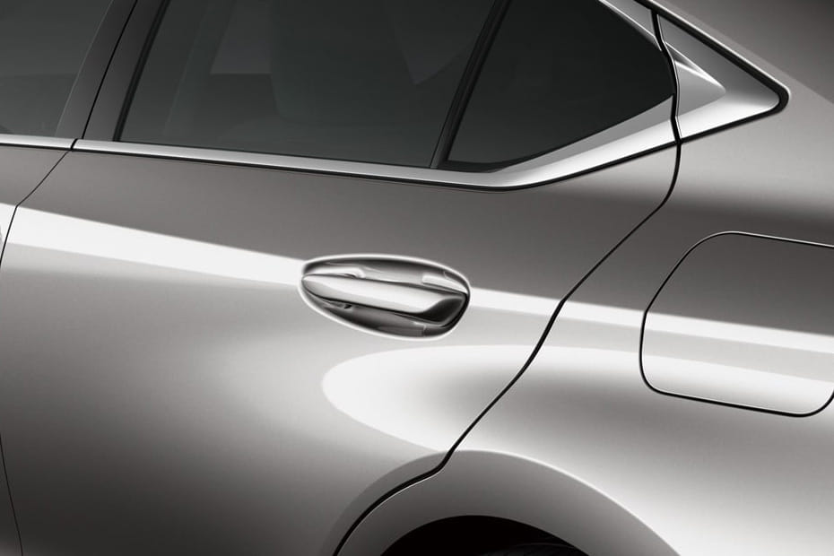 إي إس 2026 Door handle