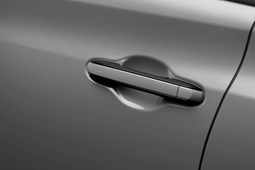 RZ Door handle