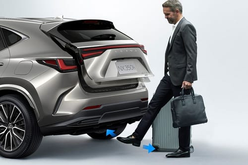 Trunk Open Closer View of نكس