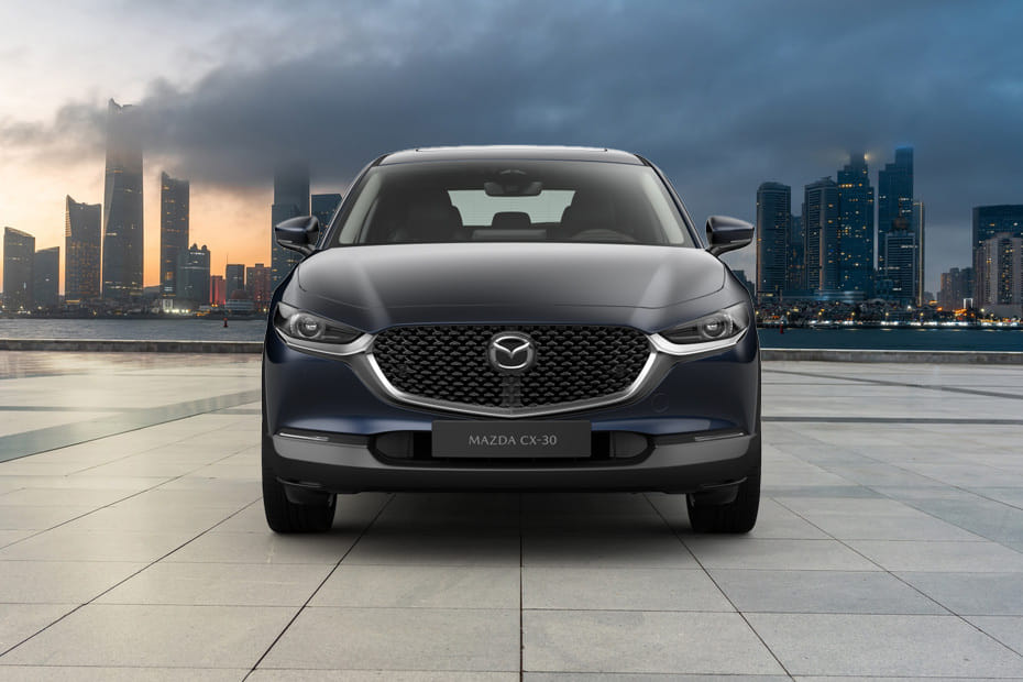 Full Front View of سي اكس-30