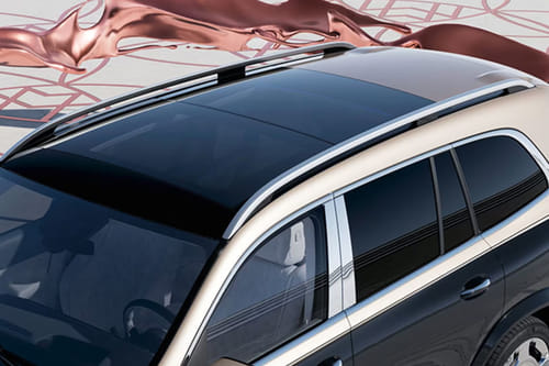 Maybach GLS roof rail