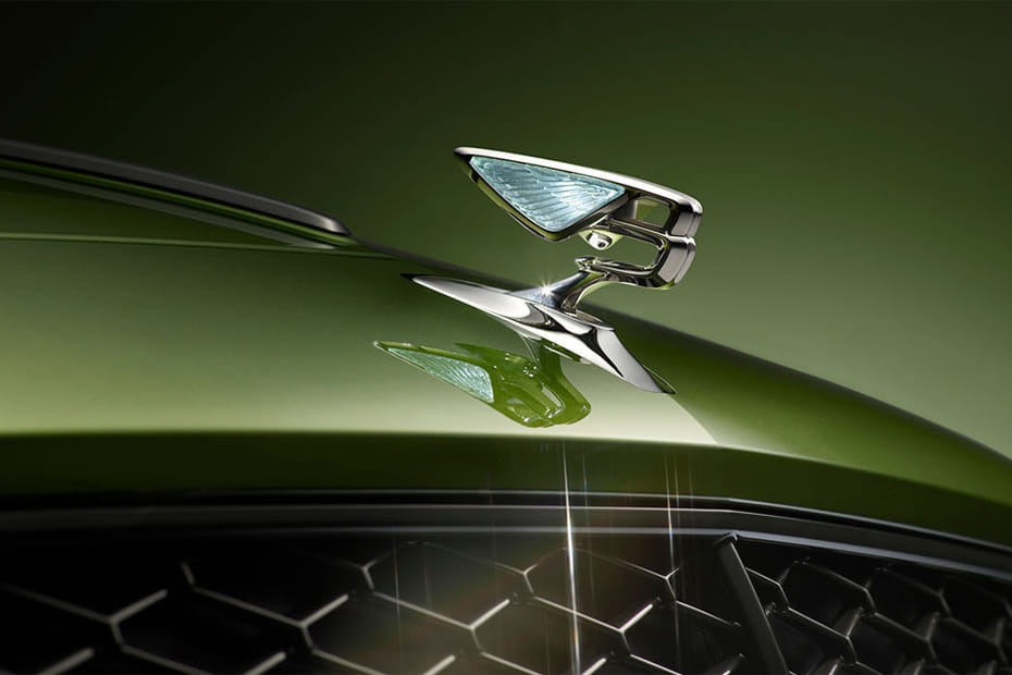 فلاينج سبير Grille View