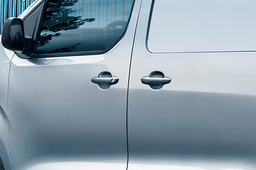 Expert Door handle