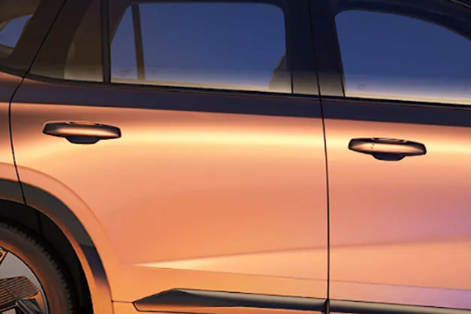 كوليوس Door handle