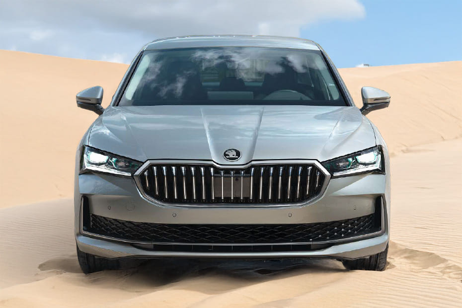 Full Front View of Superb