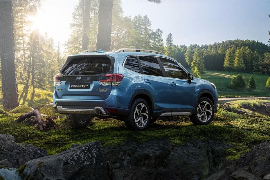Forester Rear angle view