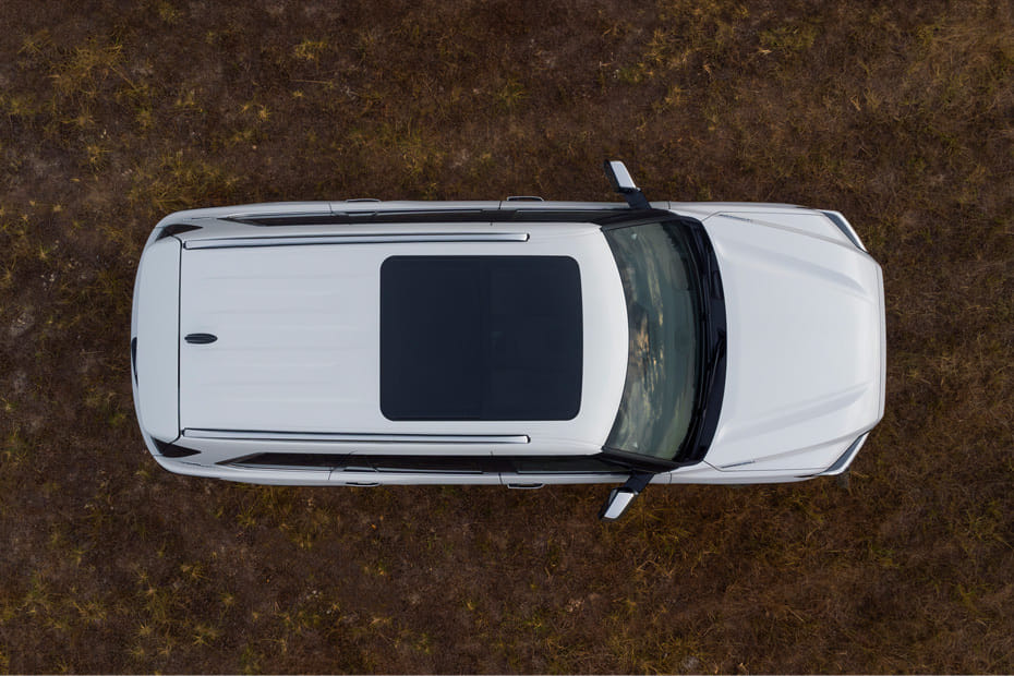 Top View of Sequoia
