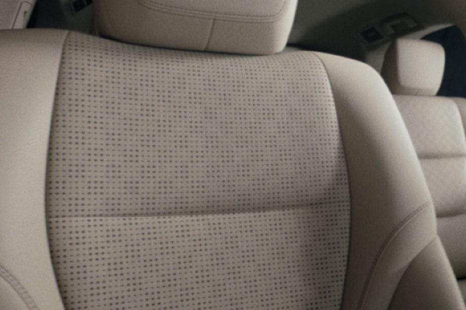 Rear Medium View of Toyota Land Cruiser