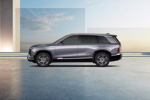 فيستيك Side view