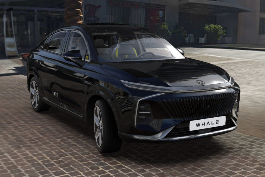 MG Whale Front Medium View