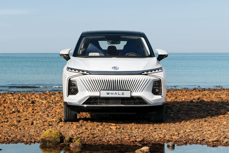 Full Front View of ويل