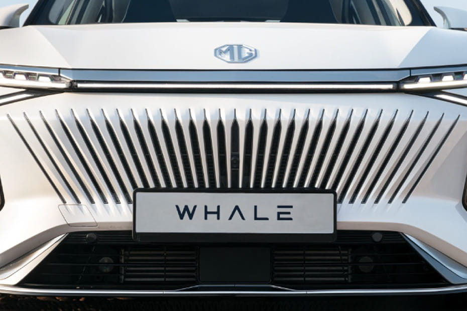 Whale Grille View