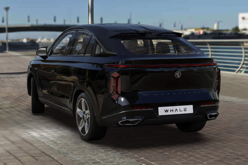 Rear Medium View of إم جي ويل