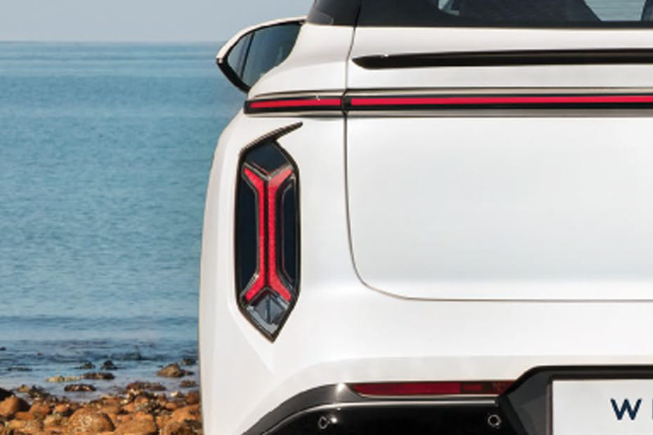 Whale Tail light