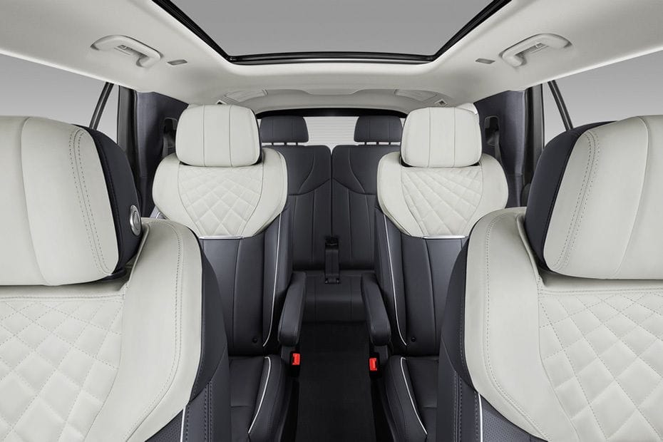 Hongqi EHS9 Passengers View