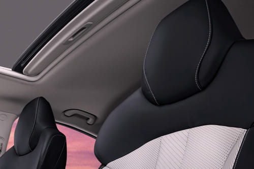 إي يو ٥ بلس Front Seat Headrest