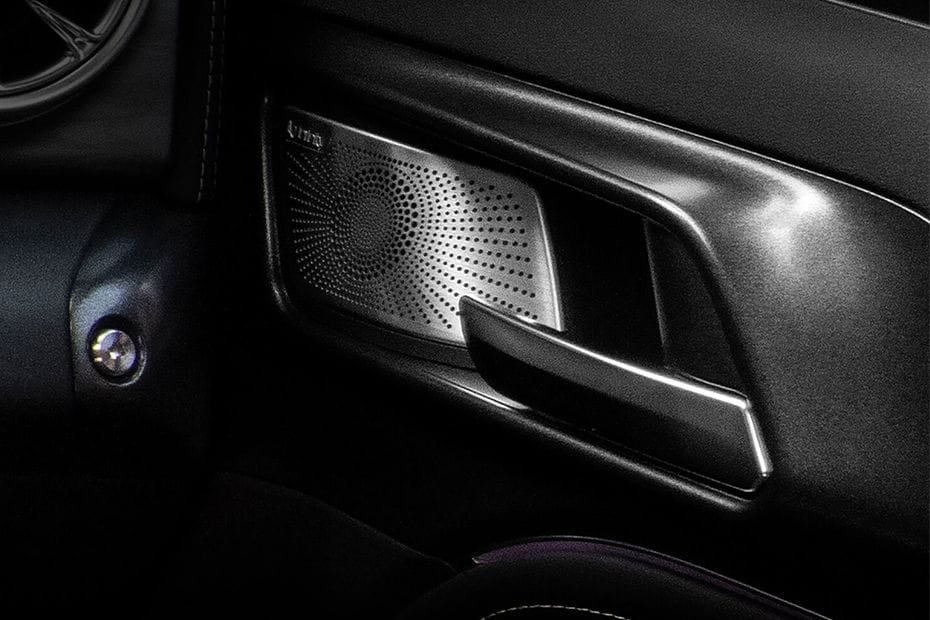 door handle interior of تانك 300